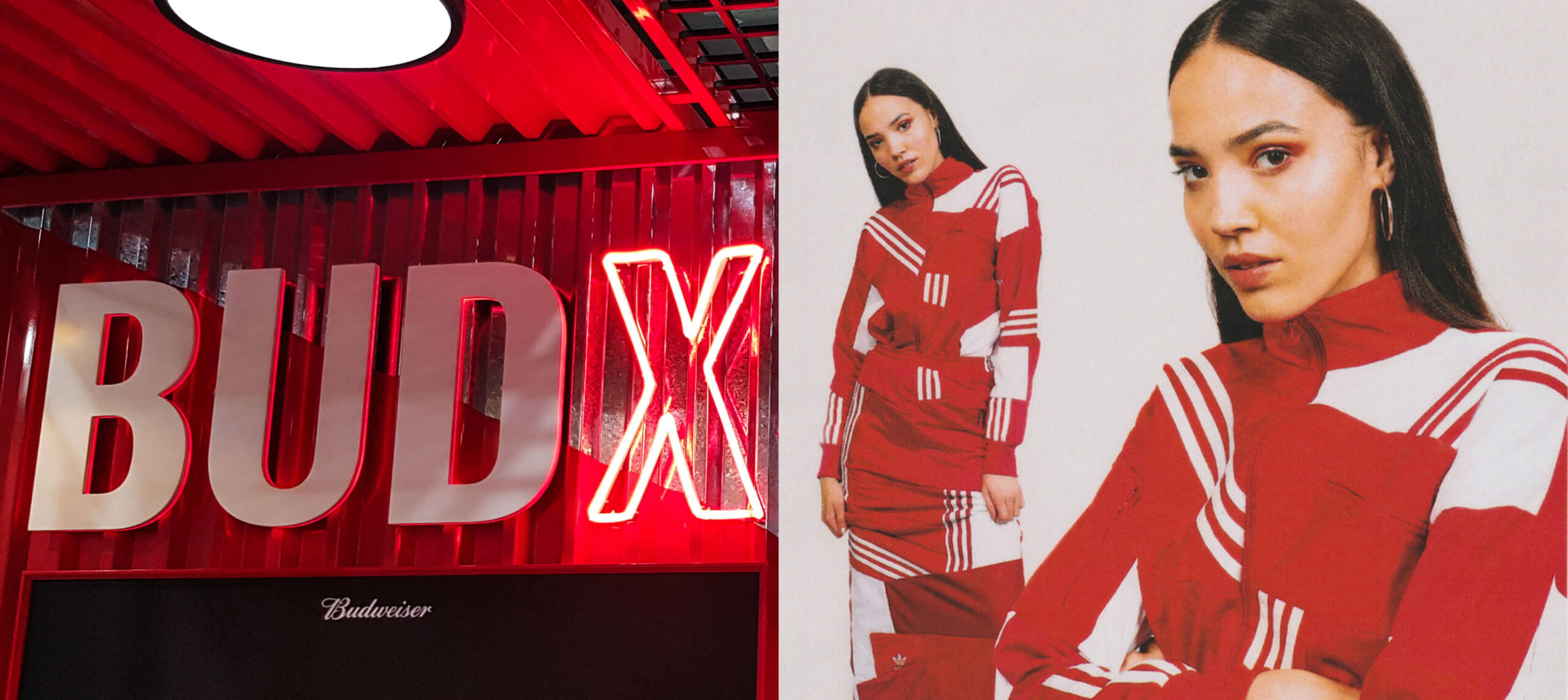 Bud Ondersteunt Daniëlle Cathari Tijdens AFW Studio 2020