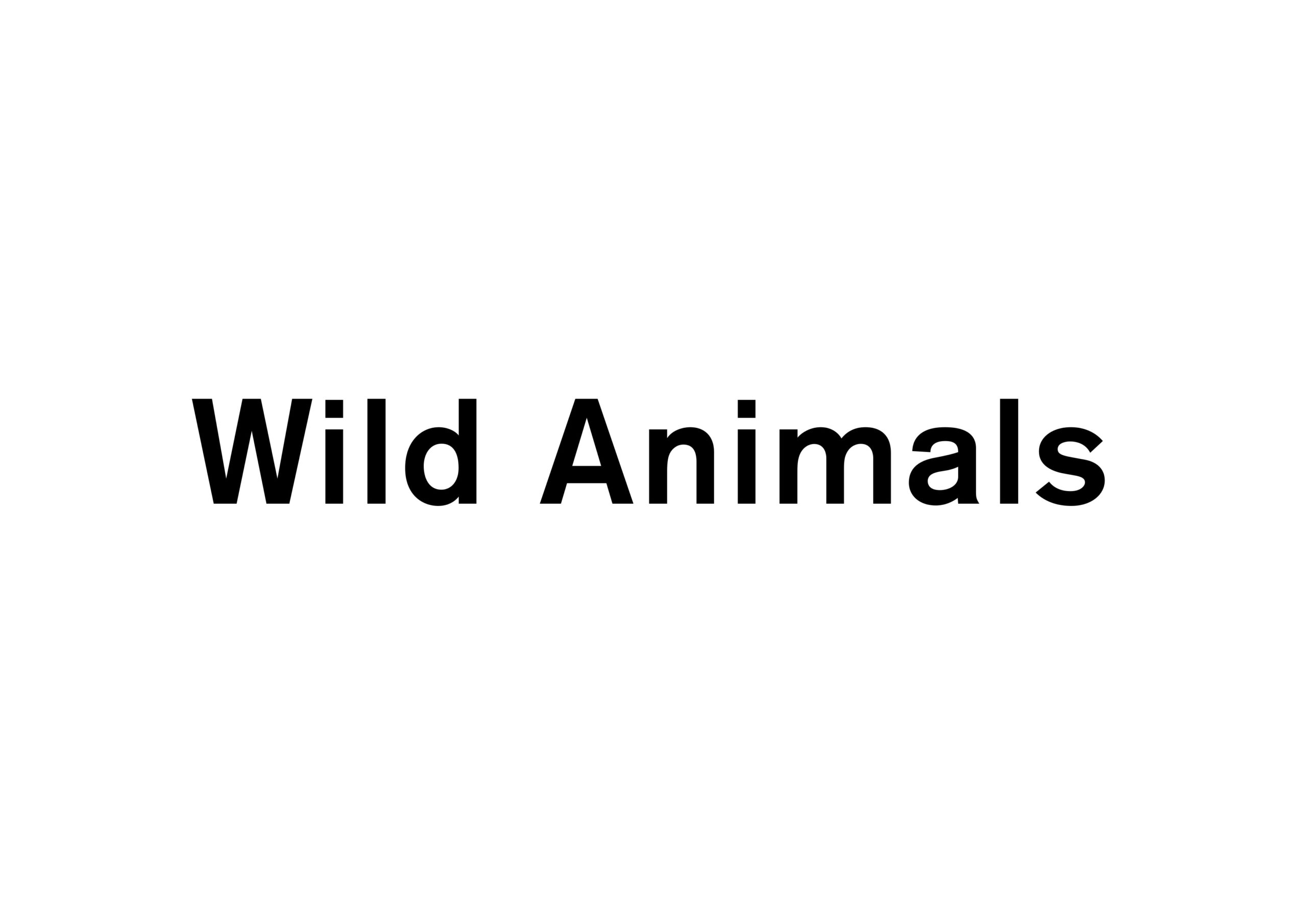 Wild Animals