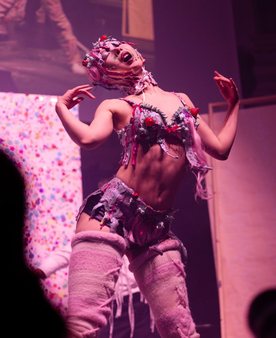 show report | patchwork family